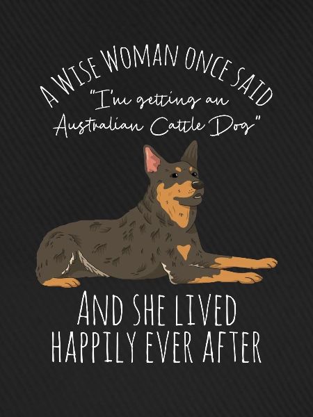 Australian Cattle Dog