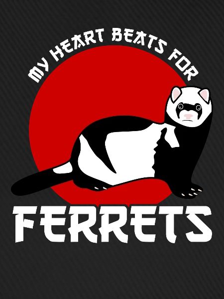 Ferrets Ferret