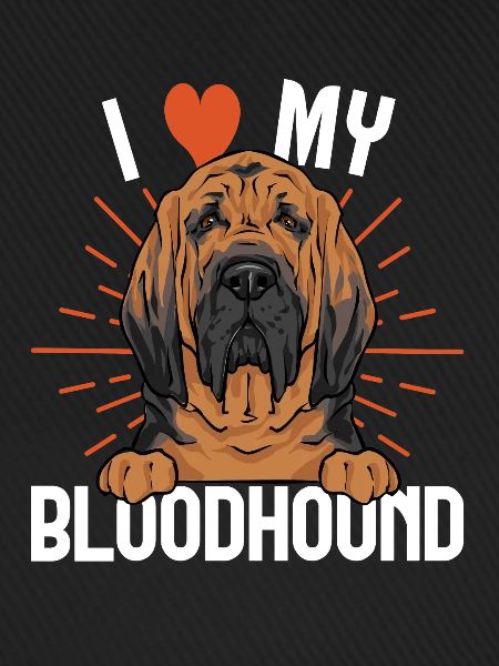 Bloodhound Hund Bluthund
