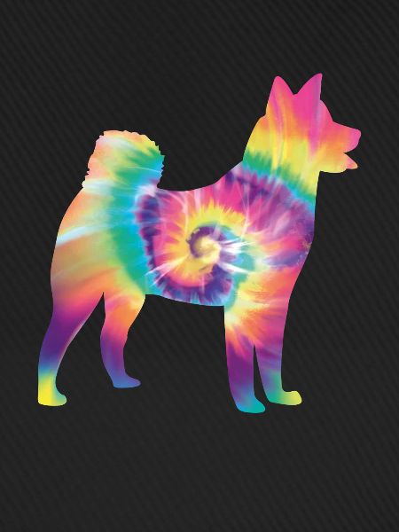 Tie Dye Hund