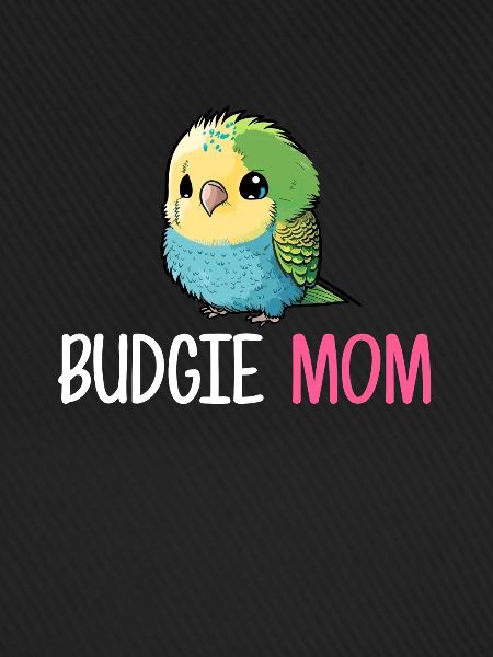budgerigar parakeet, Budgie