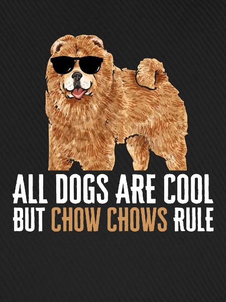 Chow Chow Hund