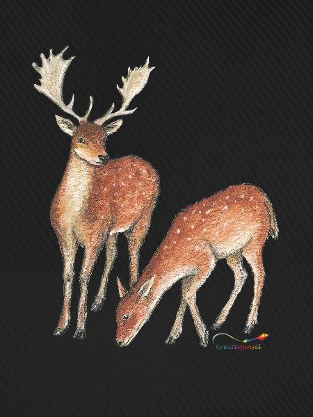 Damhirsch und Hirschkuh