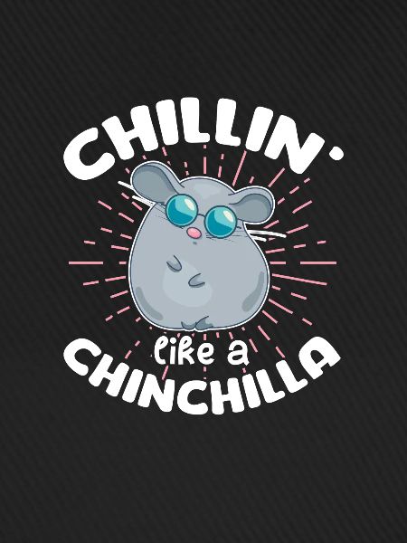 Chinchilla