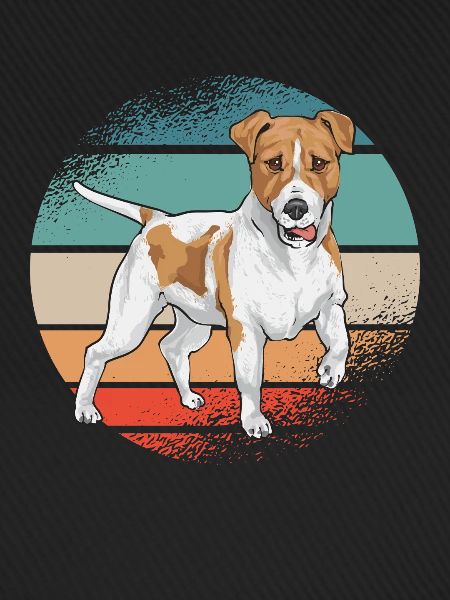 Jack Russell Terrier