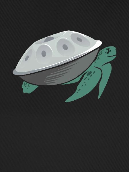 Handpan Turtle Handpan spielen