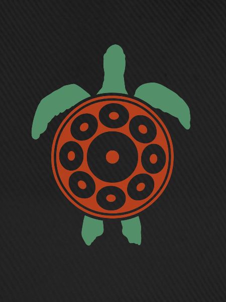 Handpan Turtle Handpan spielen