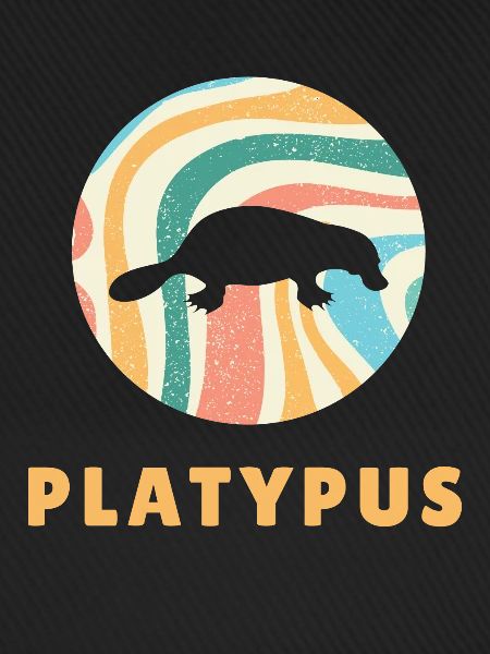 Schnabeltier Platypus