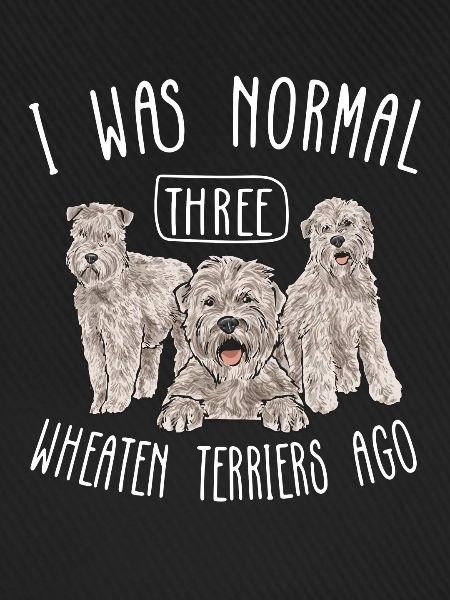 Irish Soft Coated Wheaten Terrier