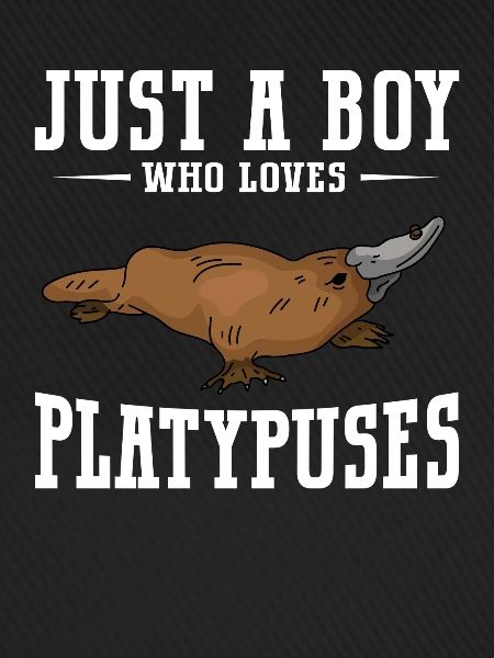 Platypus Schnabeltier