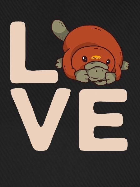 Platypus Schnabeltier