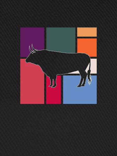 Stier