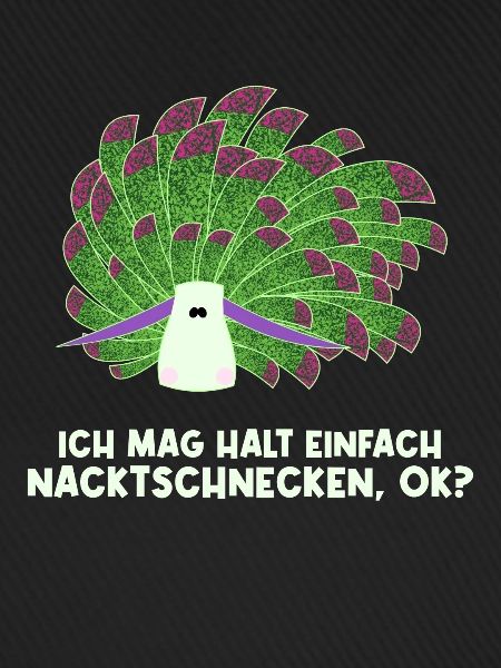 Nudibranch Nacktkiemer Nacktschnecken