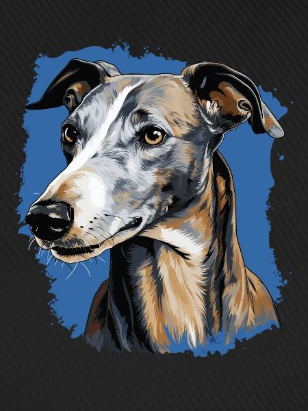Hund Greyhound