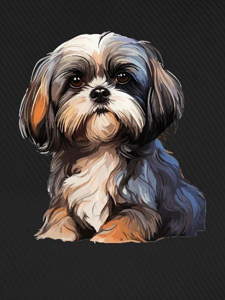 Shih Tzu