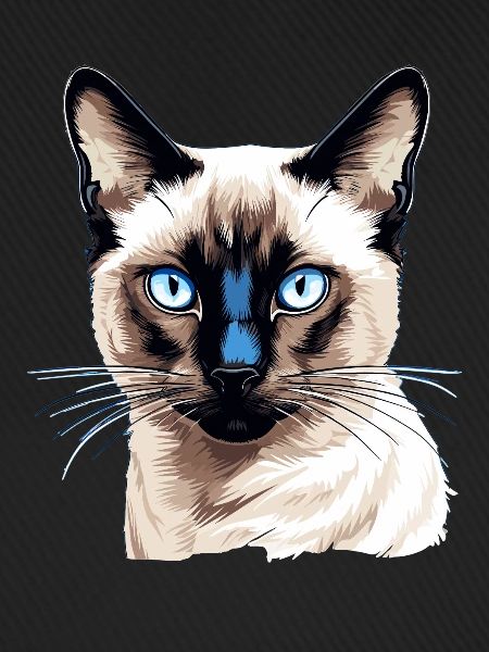 Siamese Cat Siamkatze