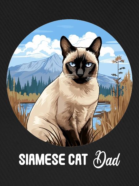 Siamese Cat Siamkatze