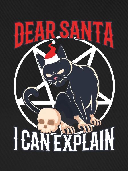 Dear santa i can explain