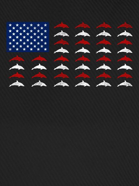 Dolphin American Flag