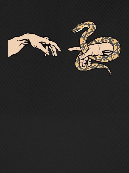 Python Liebe Lustige Python Schlange