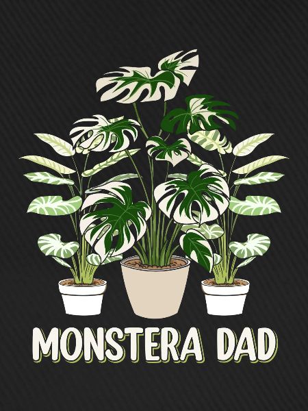 Monstera Dad