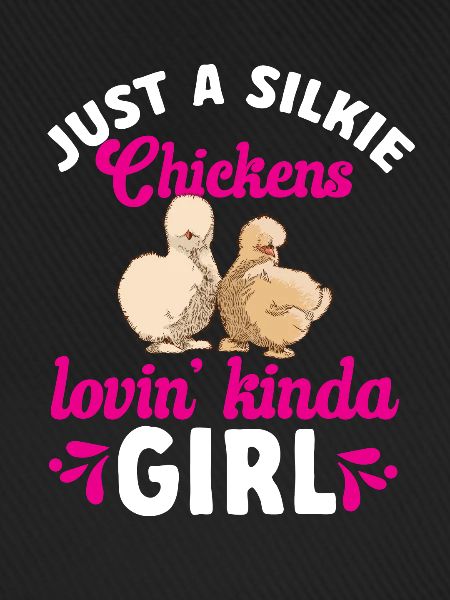 Seidenhuhn Silkie Chicken