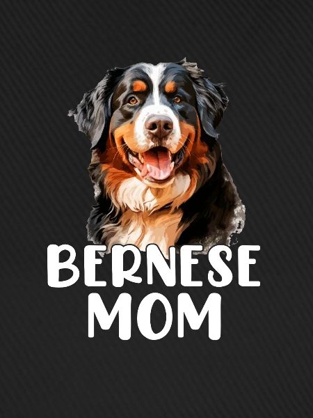 bernese mountain dog