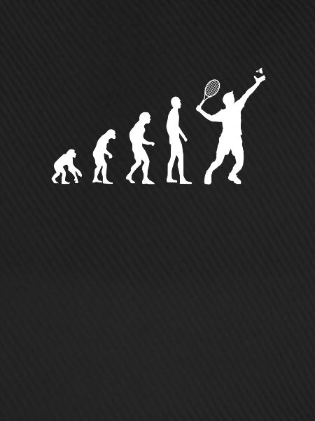 Badminton Evolution Federball