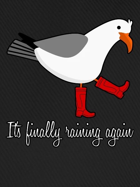 Seagull Rain Boots Gull
