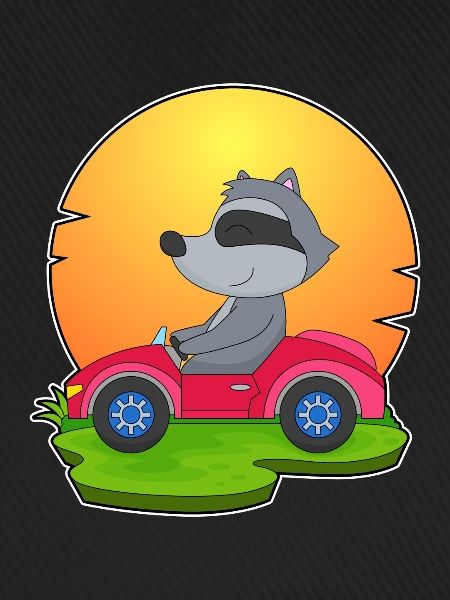 Waschbär Auto