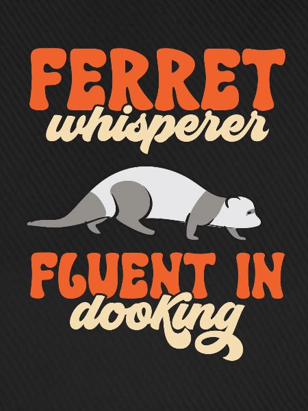 Frettchen Besitzer Frettchen
