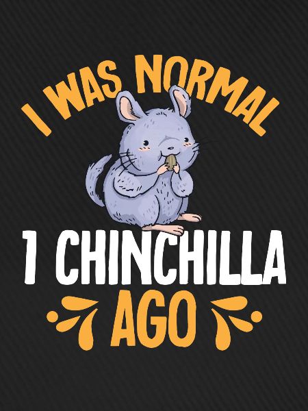 Chinchilla