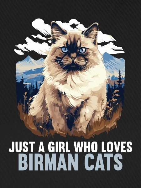 Birman Cat Birma Katze