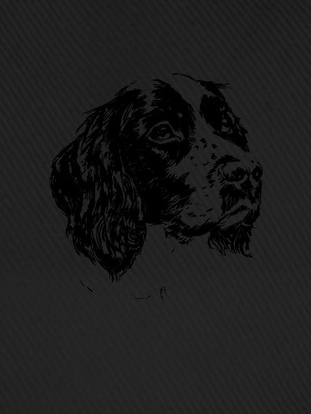 springer spaniel
