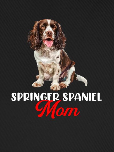 springer spaniel