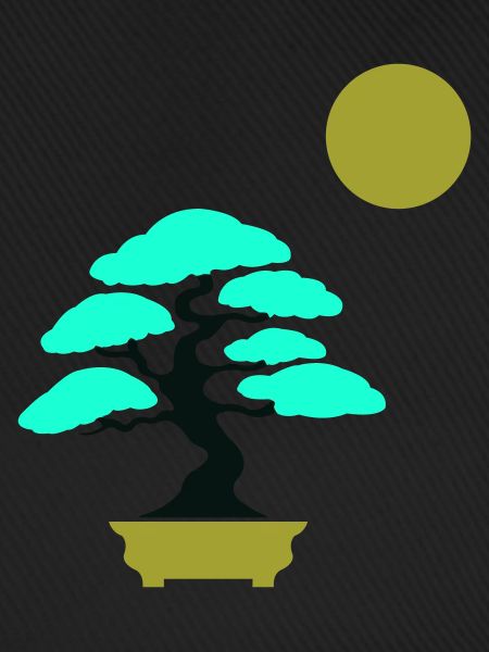 bonsai baum sonne