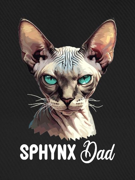 Sphynx Kätzchen Sphynx Katze