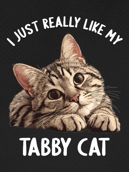 Tabby Kätzchen Tabby Katze