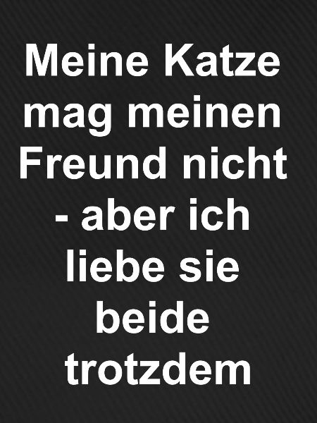 Katzen-Freund-Geschenk