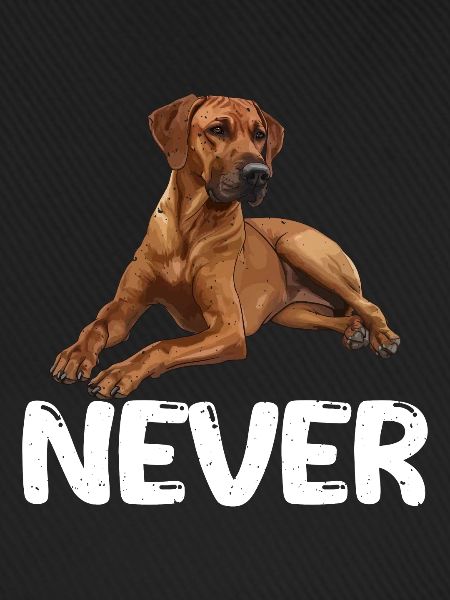 Rhodesian Ridgeback NEVER Sture Ridgebacks