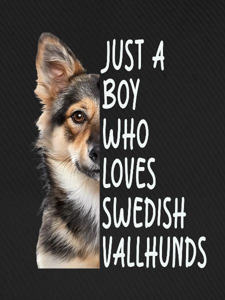 Schwedischer Vallhund