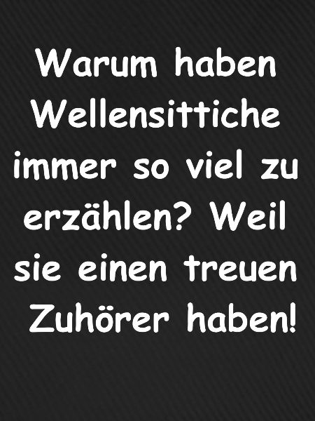 Der perfekte Geschenk-Begleiter