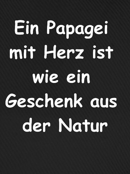 Papagei-Herz-Geschenk