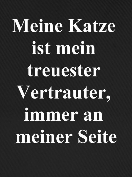Treu & Frech - Katzengeschenk