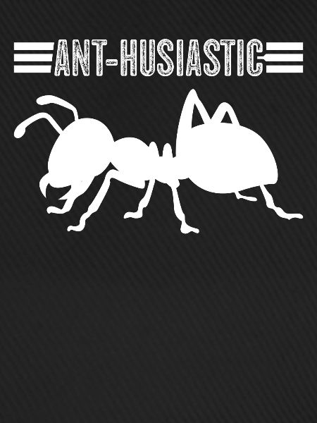 Ant Ants