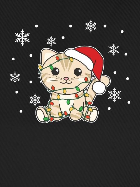 Katze Weihnachten Winter Tiere Katzen