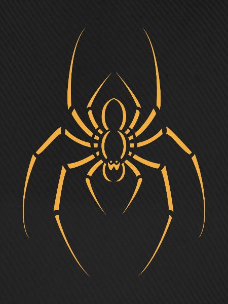 Spinne