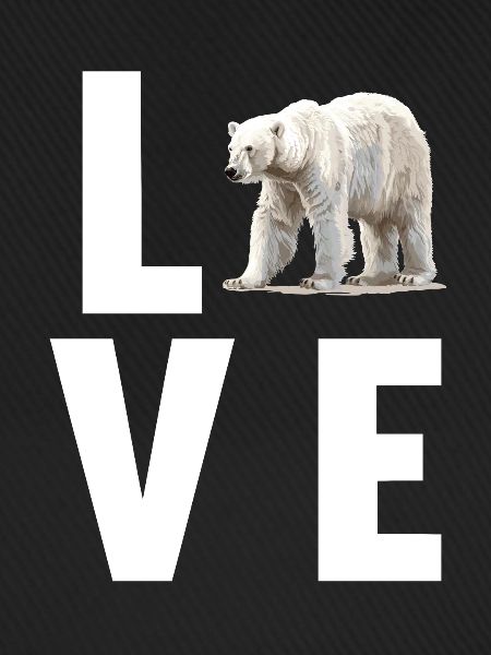 Polar Bear Eisbären Eisbär
