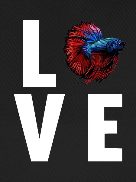 Bettas Betta Fisch Betta