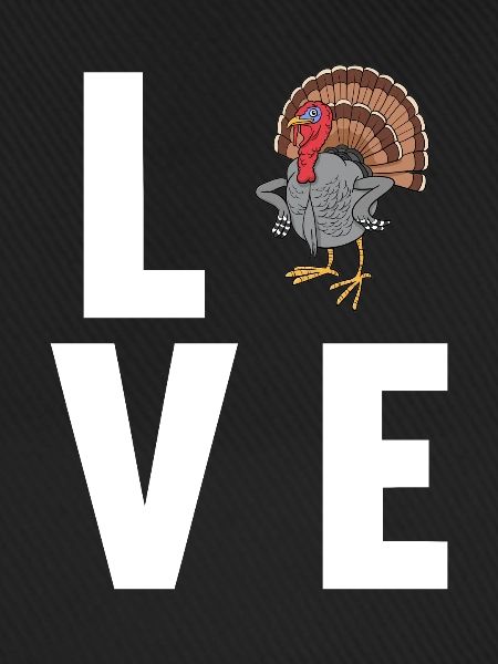 Turkey Truthähne Truthahn